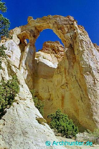 Grosvenor Arch- Utah