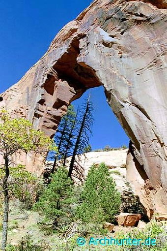 Bayles Ranch Arch-Utah