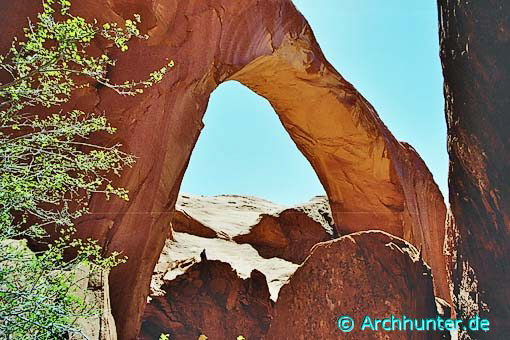 Clara Bernheimer Natural Bridge-Arizona