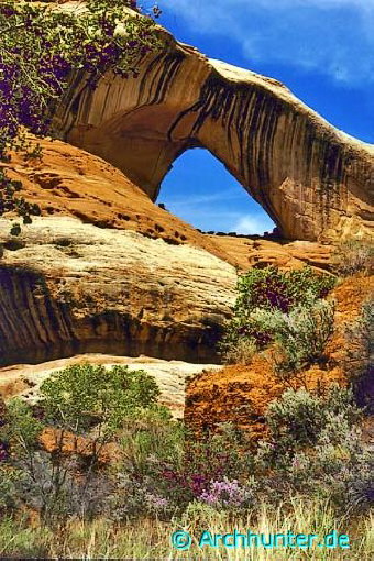 Cleft Arch-Utah