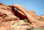 Cobra Arch-Utah