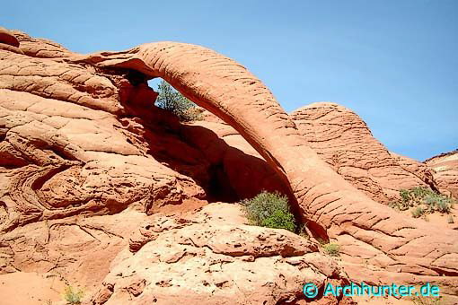 Cobra Arch-Utah 