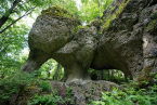 Juraelefant-Germany