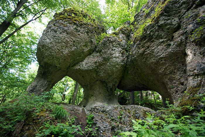 Juraelefant-Germany