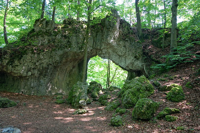 Schwingbogen-Deutschland