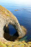 Red Point no name 4-Iceland
