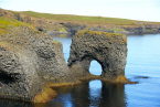 Red Point no name 3-Iceland
