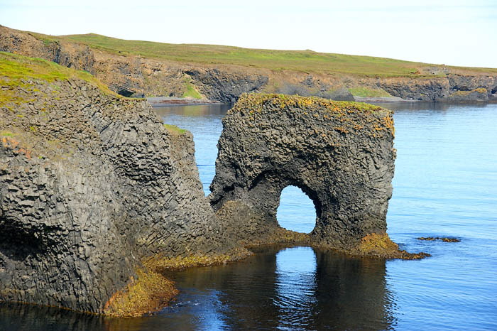 Red Point no name 3-Iceland
