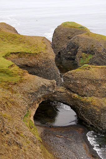Red Point no name 1-Iceland