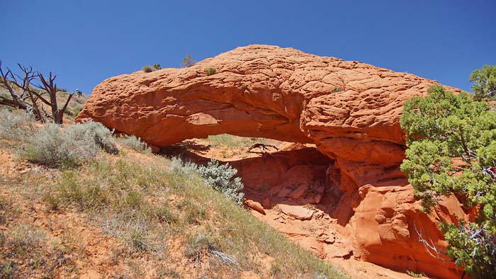 Moby Dick Arch-Utah