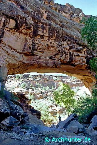 Juanita Arch-Colorado