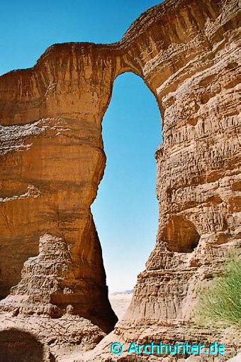 Little Aloba Arch-Chad