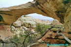 Spears Bridge-Utah
